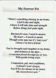 Pin By Roxanne Deaton On Grieving Losing A Pet Dog Poems Pet Loss Grief