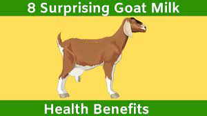 Main Differences Between Goat And Cow Milk In Baby Formulas