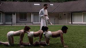 The film tells the story of a deranged german surgeon who kidnaps three tourists and joins them surgically, mouth to anus, forming a human centipede. The Human Centipede Trilogy A Metaphor For Miscommunication Den Of Geek