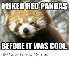 Make your own images with our meme generator or animated gif maker. Iliked Red Pandas Before It Was Cool 80 Cute Panda Memes Cute Meme On Me Me