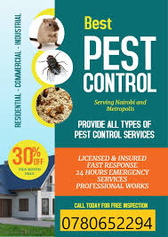 If you're looking for a professional and reputable pest control company, then look no further than any pest control services. Getting Rid Of Bees In Kimbo Pest Control