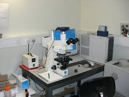 Make sure that the specimen is remove excess water with filter paper or tissue paper. Optical Microscope Wikipedia