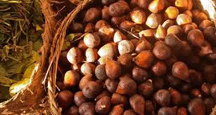 Check spelling or type a new query. Meet The Salak The Ubiquitous Indonesian Fruit You Ve Never Heard Of Arts Culture Smithsonian Magazine