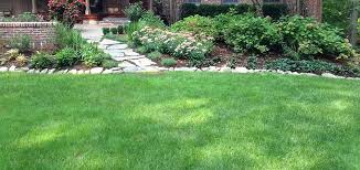 After dethatching water, fertilize, and overseed. Aeration Dethatching Seeding Services In The Westfield Watchung Warren Nj Area Stream Line Lawn Landscape