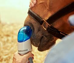 Image result for Inhaled Ciclesonide