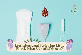 Image result for Menstrual Bleeding