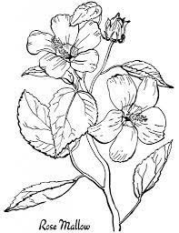 29 379 views 2 539 prints. 10 Floral Adult Coloring Pages The Graphics Fairy