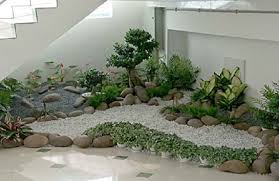 Masih termasuk keluarga rumput gajah, ada rumput gajah mini varigata yang dikenal juga sebagai rumput gajah mini putih. Kisaran Harga Rumput Gajah Hingga Rumput Jepang Cocok Untuk Taman Semua Halaman Idea