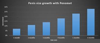 Penomet Review Effective Penis Pumping Routine And Results