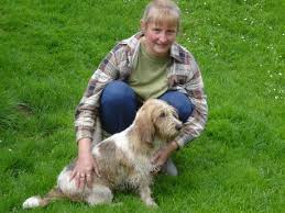 Image result for malý vendéeský hrubosrstý honič