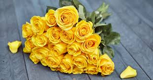 Where flowers bloom, so does hope. Yellow Rose Meaning What Do Yellow Roses Mean Bouqs Blog