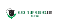 We did not find results for: Black Tulip Flowers Discount Coupon Codes 50 Off August 2021