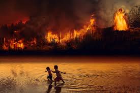 Moreover, it is bigger than all the other rainforests combined. Is Corruption To Blame For The Amazon Forest Fires
