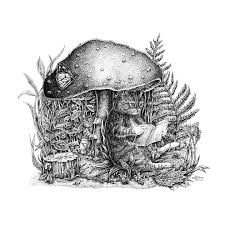 Brush/ink cats & cat drawings by drew strouble. The Cats And The Mushroom Gnostic Forest Art Drawings Illustration Animals Birds Fish Cats Kittens Other Cats Kittens Artpal