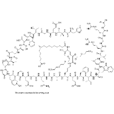 Molecular weight (or apparent hydrodynamic size) is perhaps one of the most polarizing physiochemical. Semaglutide Glp 1 Receptor Agonist Buy Semaglutide From Supplier Adooq