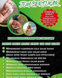 Perlu diketahui, perbedaan warna pada darah haid itu sangat dipengaruhi oleh komponen yang terdapat atau keluar bersamaan dengan darah haid itu sendiri. Sarie Amie Gula Punca Segala Penyakit Sebab Darah Jd Pekat Darah Berasid Darah Berlemak Darah Kurang Oksigen Kita Boleh Berfikir Secara Logik Akal Kita Yg Bukan Pakar Kesihatan