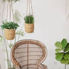 Quokka state · 3 english ivy. Woven Hanging Plant Pots With Waterproof Interior Plastic Coating For Made Terra