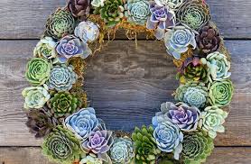 Cactus farming is the systematic planting and subsequent harvesting of cacti. Succulent Crafts Ted Lare Design Build