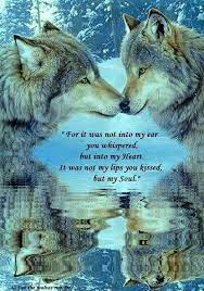 Pin By Desiree Temple On Magical Wolves Wolf Love Wolf Quotes Wolf Spirit Animal