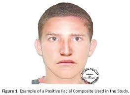 Eyewitnesses memory for faces in actual criminal cases: An archival  analysis of positive facial composites