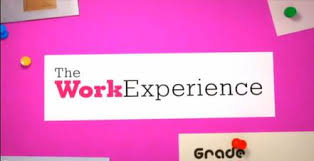 Image result for work experience logo