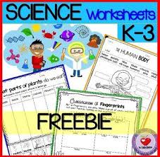 free science lesson science worksheets k 3 freebie the best of teacher entrepreneurs marketing cooperative