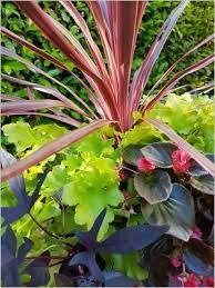 Plantes vivaces de plein soleil soleil , normalement drainé à sec, 25cm. Composer Une Jardiniere D Ete Idee Diy Plein Soleil Ou Mi Ombre