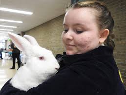 Alpena High School program addresses employment need