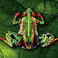 Image result for illusion pictures