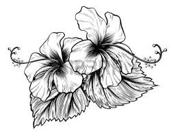 Resultat De Recherche D Images Pour Dessin Fleurs Dessin Fleur Fleurs Anciennes Dessin