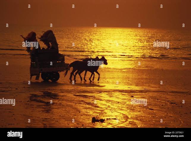 Horse cart ride at Juhu Beach in silhouette, Bombay Mumbai, Maharashtra, India, Asia Stock Photo - Alamy