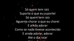 Só quem tem raiz / suporta o que eu suportei / só quem tem raiz / aguenta chorar o que eu chorei / e ainda adorar / como se nada tivesse acontecido / e ainda adorar, adorar / até o dia raiar So Quem Tem Raiz Pptx Slide Gospel