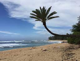 ← лучшие маршруты в hawaii. Sunset Beach Photos Featured Images Of Sunset Beach Oahu Tripadvisor