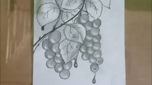 Selain itu, stilasi juga dapat dilakukan pada berbagai ragam hias yang sudah ada baik ragam hias naturalis, geometris maupun ragam hias dekoratif. Ragam Hias Flora Buah Anggur Youtube