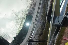 Bimmerforums The Ultimate Bmw Forum Windshield Replacement Bmw