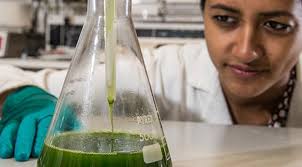 Equality, Diversity & Inclusivity Committee