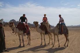 And that the place where moses spoke to god in. Sharm El Sheikh Camel Safari 2021