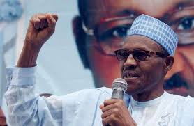 Image result for president buhari