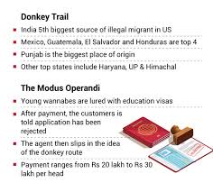 Get the meaning of father in law in punjabi with usage, synonyms, antonyms & pronunciation. The Curious Case Of Donkey And Donkers On The Great Indian Illegal Immigration Trail The Economic Times