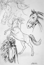 How To Draw A Horse Nose 52 Ideas Animal Drawings Sketches Horse Sketch Animal Drawings