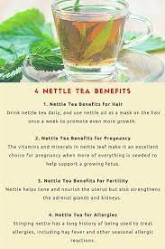 Stinging nettle, in all its various forms, can be a powerful way to fight hair loss and enable hair growth. 4 Amazing Nettle Tea Benefits
