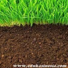 Indonesia adalah negara yang kaya ragam jenis tanah. Tanah Pengertian Tanah Jenis Jenis Tanah Profil Tanah Tekstur Tanah Permeabilitas Tanah Kesuburan Tanah Beserta Penjelasan Terlengkap Mengenai Tanah Edukasi Indonesia Edukasinesia Com