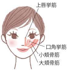 顔の下半分 を鍛えれば若返る 1日5分でokの美人顔エクササイズ 顔のエクササイズ 美人 顔 顔