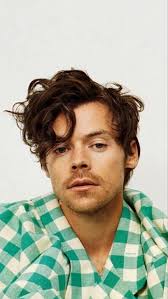 Harry styles or Zayn Malik? Who is better looking? : r/VindictaRateCelebs