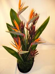 Bird Of Paradise Arrangement Ideas Artistic Flower Arrangement Ideas Free Floral Arranging Lesson Fresh Flower A Tropical Flower Arrangements Birds Of Paradise Flower Fresh Flowers Arrangements