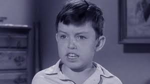 Leave It to Beaver: All Episodes