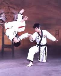 It took a smart ceo to realize their potential in the consumer market as well. A Continuacion Veras Dos Excelentes Videos Tutoriales De Hapkido El Arte Marcial Coreano Desarrollado Especial Artes Marciais Coreanas Hapkido Artes Marciais