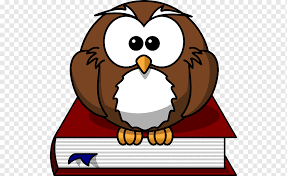 120 animated images of burning flames in all manifestations and situations. Owl Cartoon Drawing S Of Animated Cartoons Owl Cartoon Bird Png Pngwing