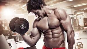 Cardiac muscles are the muscles that control your heart. Fitness Name Ideas For Instagram Give A Good Name
