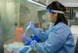 The two main branches detect either the presence of the virus or of antibodies produced in response. Northwell Labs Begins Semi Automated Testing For Covid 19 Northwell Health